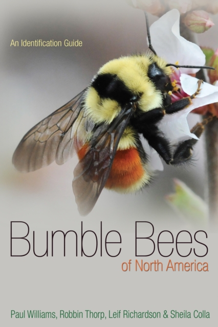 Bumble Bees of North America : An Identification Guide, EPUB eBook