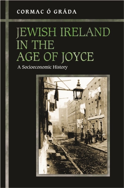 Jewish Ireland in the Age of Joyce : A Socioeconomic History, EPUB eBook