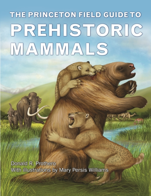 The Princeton Field Guide to Prehistoric Mammals, PDF eBook