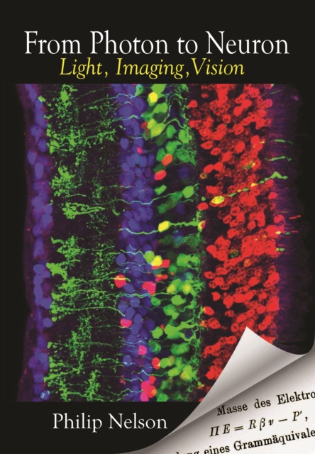 From Photon to Neuron : Light, Imaging, Vision, PDF eBook