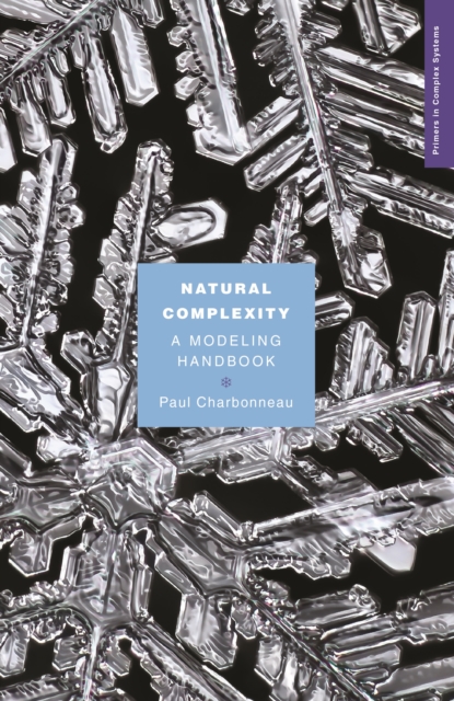 Natural Complexity : A Modeling Handbook, PDF eBook