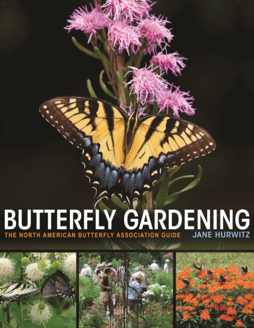 Butterfly Gardening : The North American Butterfly Association Guide, PDF eBook
