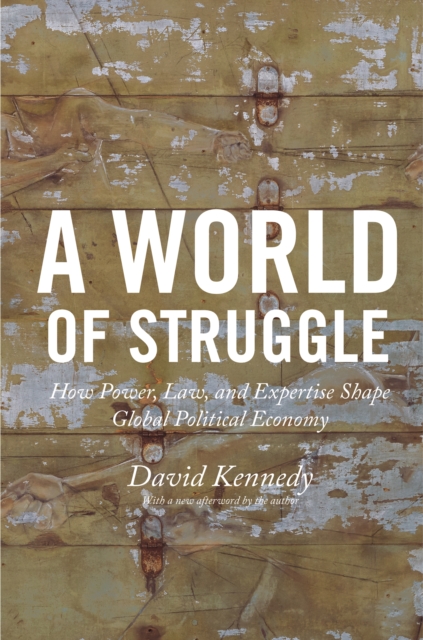 A World of Struggle : How Power, Law, and Expertise Shape Global Political Economy, EPUB eBook