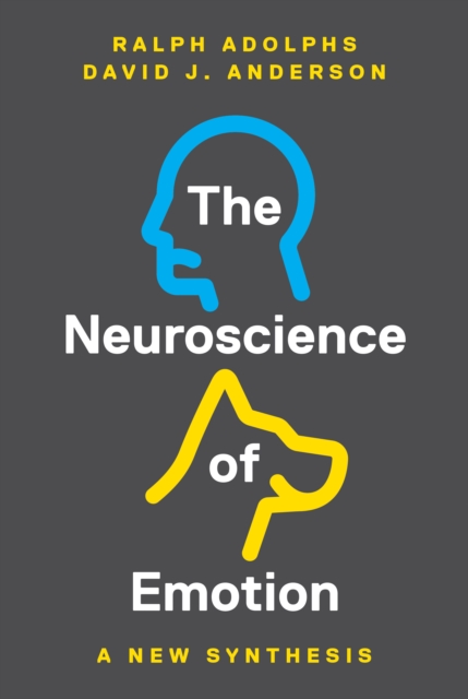 The Neuroscience of Emotion : A New Synthesis, PDF eBook