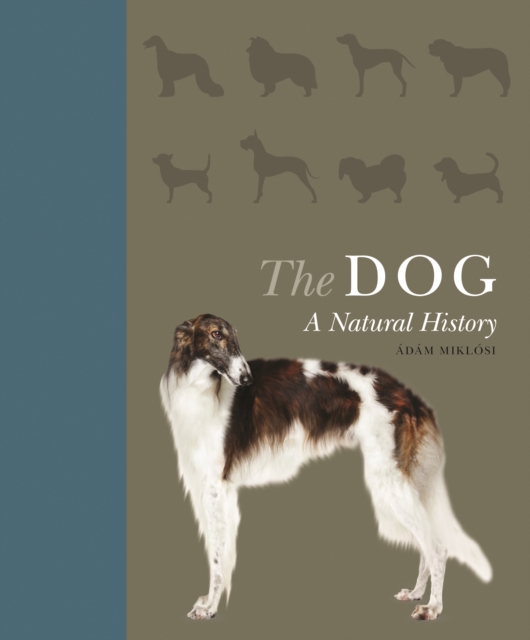 The Dog : A Natural History, PDF eBook