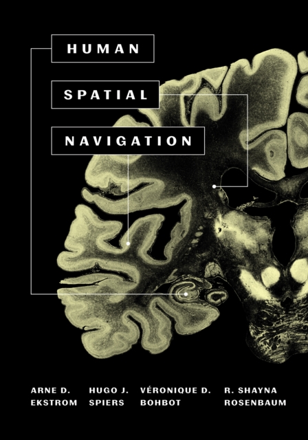 Human Spatial Navigation, EPUB eBook