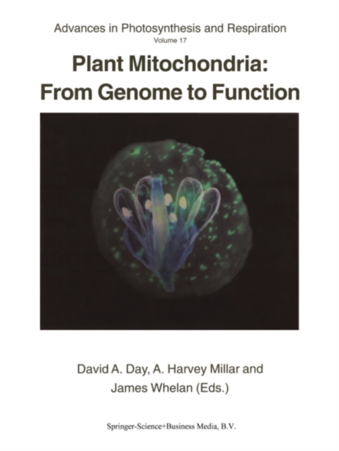 Plant Mitochondria: From Genome to Function, PDF eBook