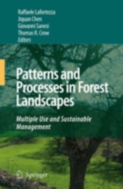 Patterns and Processes in Forest Landscapes : Multiple Use and Sustainable Management, PDF eBook