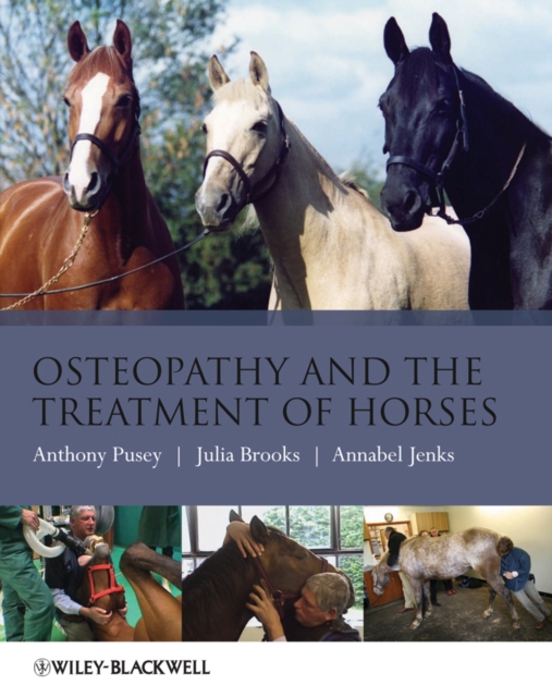 Osteopathy and the Treatment of Horses, Paperback / softback Book
