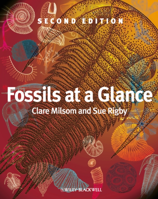 Fossils at a Glance, Paperback / softback Book