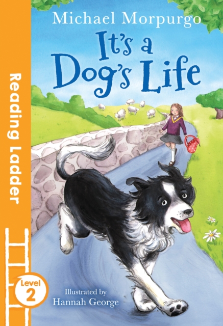 It's a Dog's Life, Paperback / softback Book