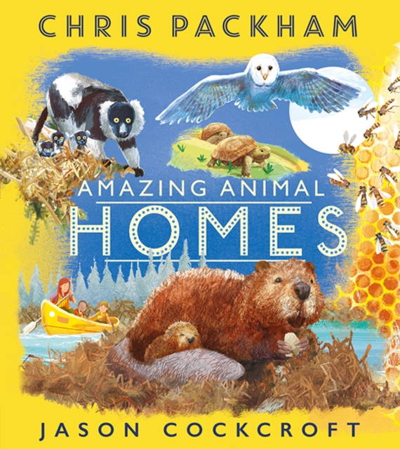 Amazing Animal Homes, Paperback / softback Book