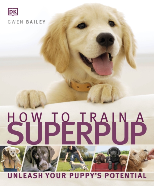 How to Train a Superpup : Unleash your puppy's potential, Paperback / softback Book