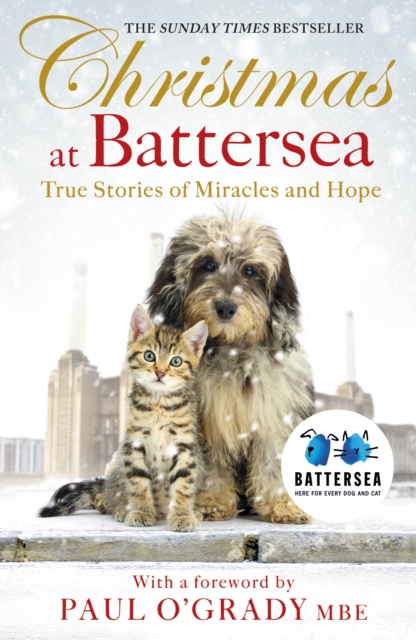 Christmas at Battersea: True Stories of Miracles and Hope, EPUB eBook