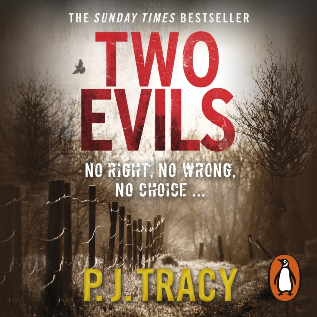 Two Evils : Twin Cities Book 6, eAudiobook MP3 eaudioBook