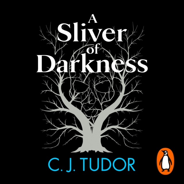 A Sliver of Darkness, eAudiobook MP3 eaudioBook