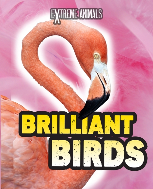 Brilliant Birds, PDF eBook