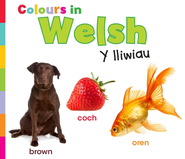 Colours in Welsh : Y lliwiau, PDF eBook