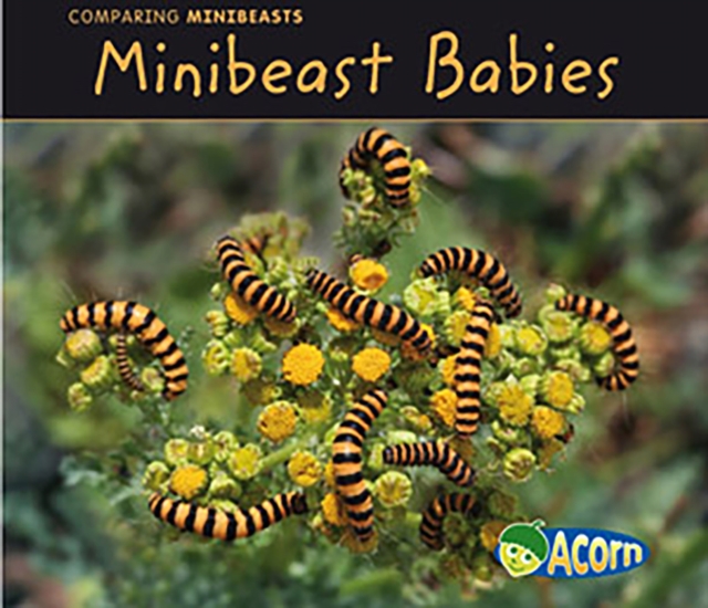 Minibeast Babies, PDF eBook