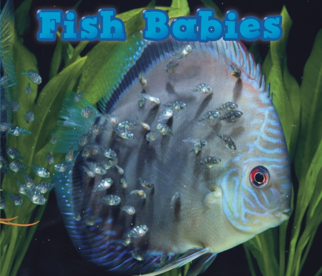 Fish Babies, PDF eBook