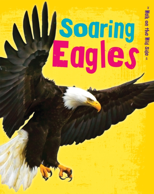 Soaring Eagles, PDF eBook