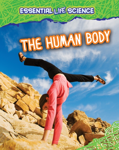 The Human Body, PDF eBook