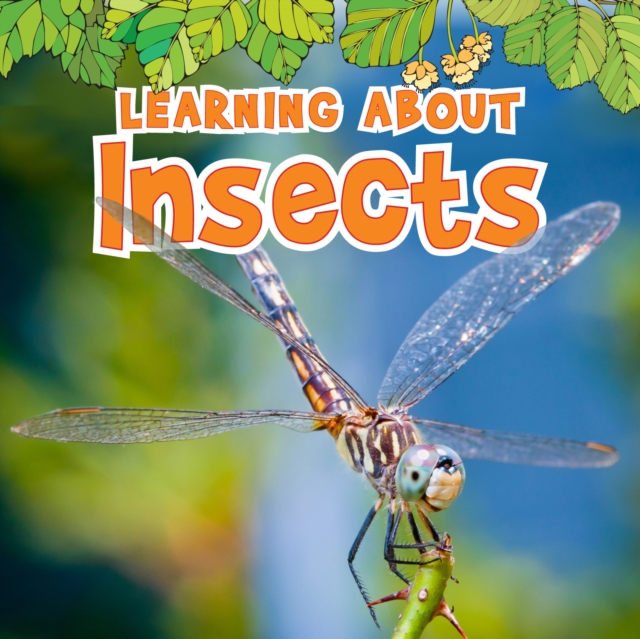 Learning About Insects, PDF eBook