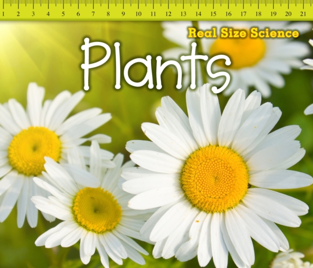 Plants, PDF eBook