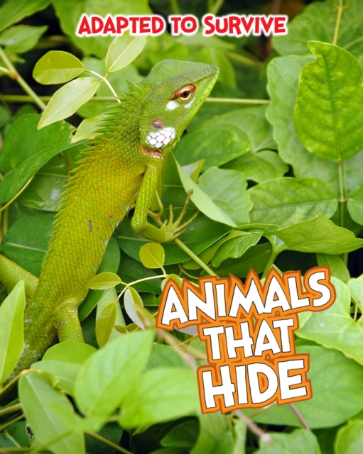 Adapted to Survive: Animals that Hide, PDF eBook