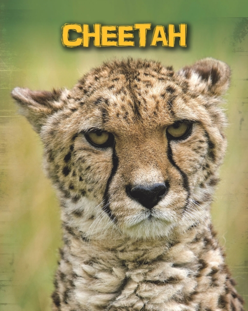 Cheetahs, PDF eBook