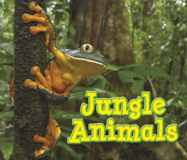 Jungle Animals, Paperback / softback Book