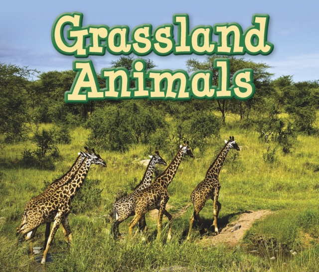 Grassland Animals, Paperback / softback Book