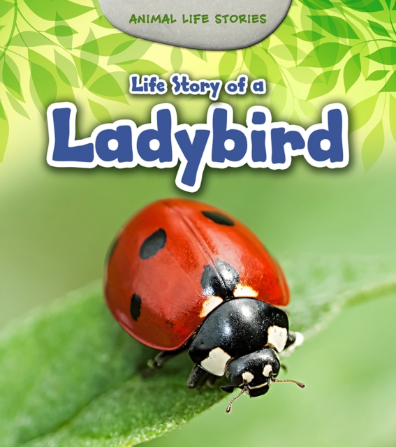 Life Story of a Ladybird, PDF eBook