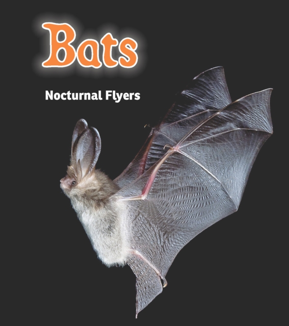 Bats : Nocturnal Flyers, PDF eBook