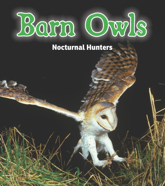 Barn Owls : Nocturnal Hunters, PDF eBook