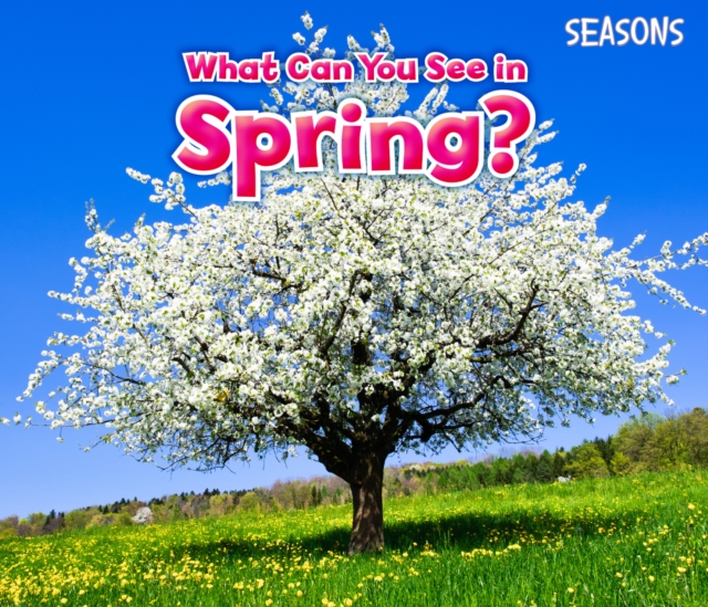 What Can You See In Spring?, Paperback / softback Book