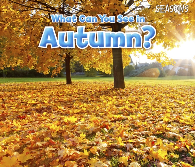 What Can You See In Autumn?, PDF eBook