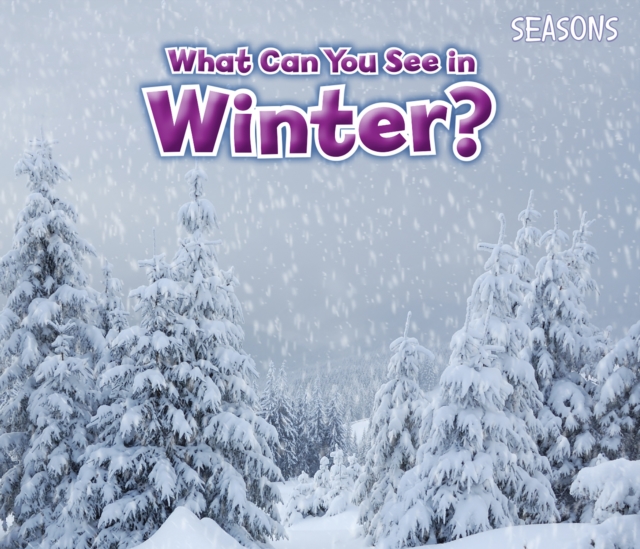 What Can You See In Winter?, PDF eBook