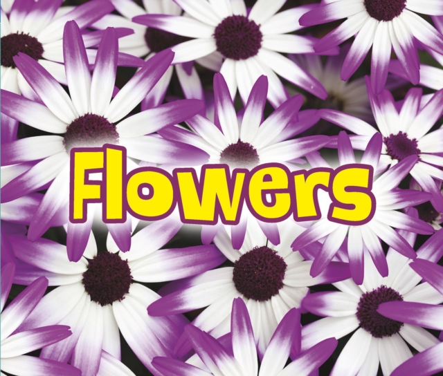 All About Flowers, PDF eBook