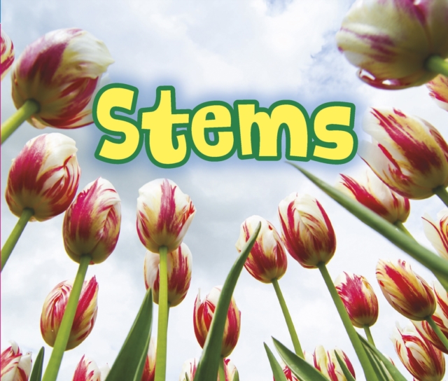 All About Stems, PDF eBook