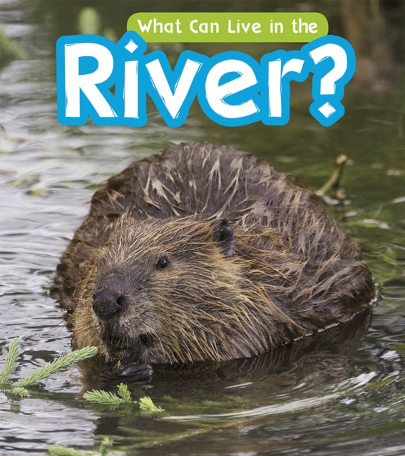 What Can Live in a River?, PDF eBook