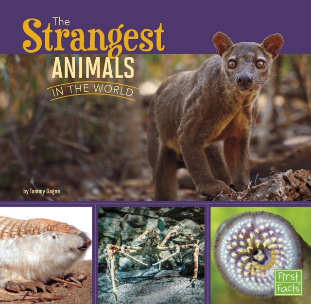 The Strangest Animals in the World, PDF eBook