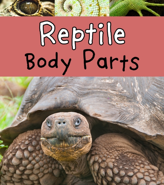 Reptile Body Parts, PDF eBook
