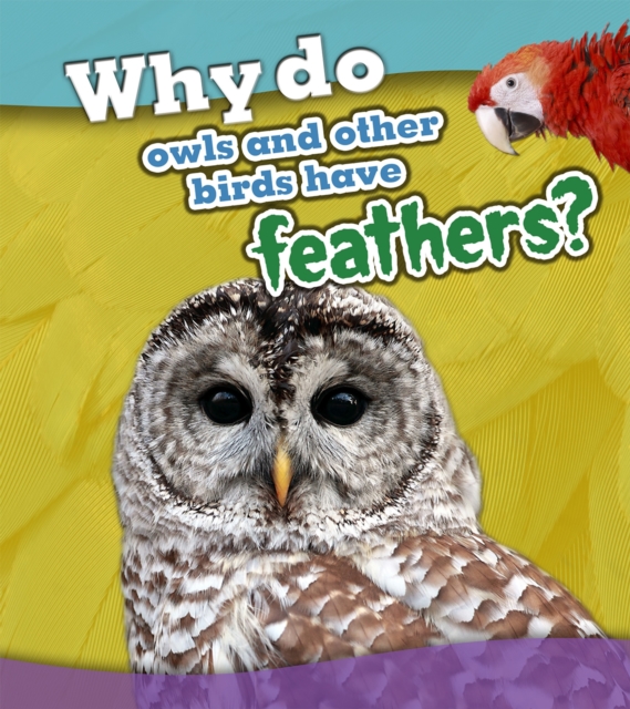 Why Do Owls and Other Birds Have Feathers?, PDF eBook