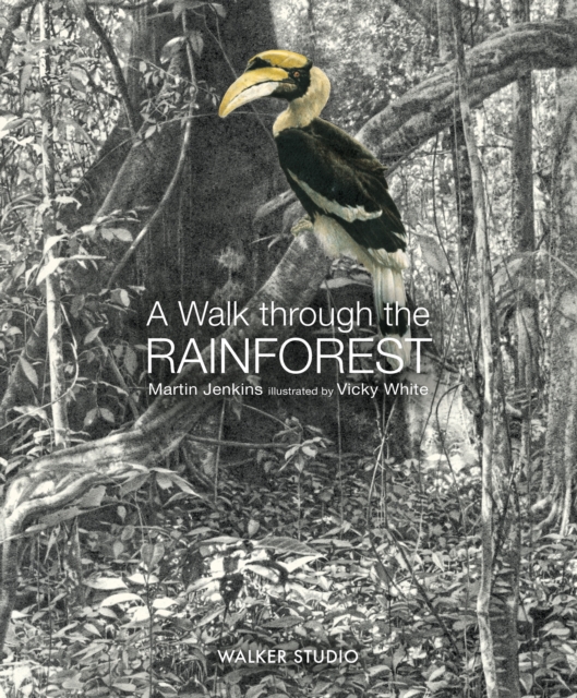 A Walk Through the Rainforest, Hardback Book