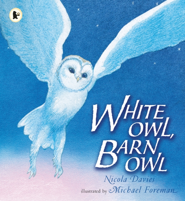 White Owl, Barn Owl, Paperback / softback Book