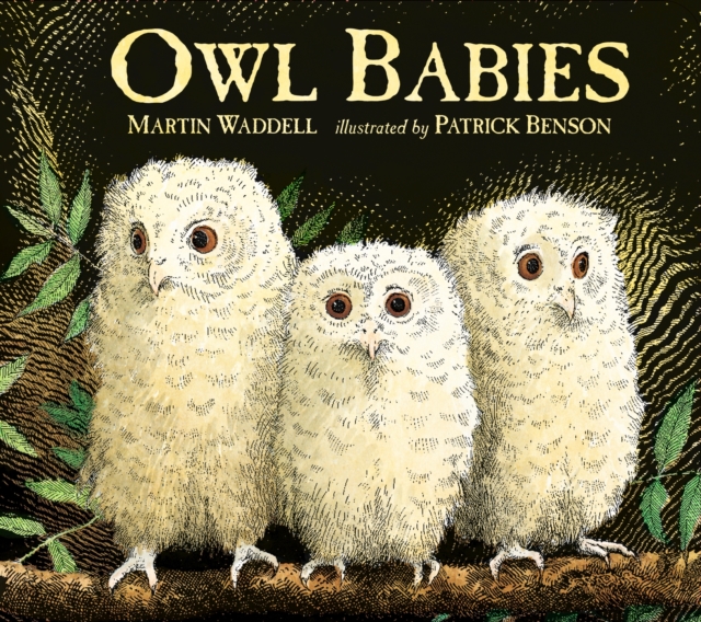 Owl Babies, Board book Book