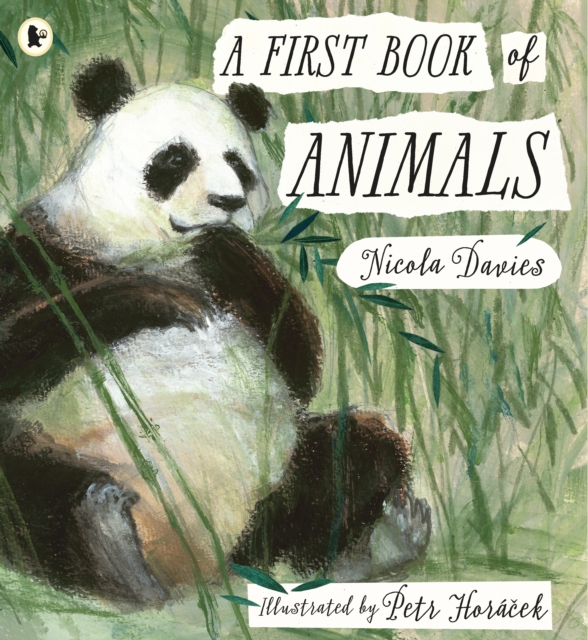 A First Book of Animals, Paperback / softback Book