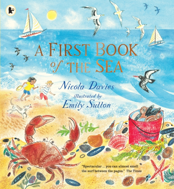 A First Book of the Sea, Paperback / softback Book