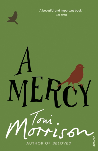 A Mercy, EPUB eBook